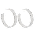 Silver Hoops